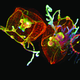 Image for article titled The Astounding And Horrific World As Seen Under A Microscope